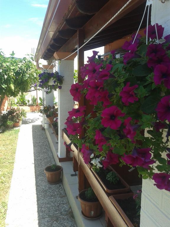Adriana Saina Apartments Agios Georgios (Corfu) Quarto foto